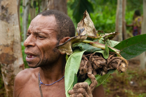 Ze života Korowai, Irian Jaya, Indonésie | Planeta lidí - David Švejnoha