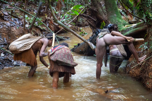 Ze života Korowai, Irian Jaya, Indonésie | Planeta lidí - David Švejnoha