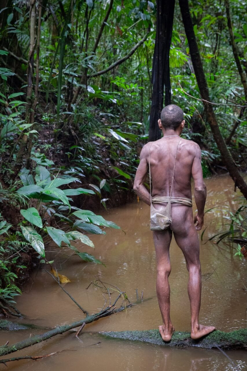 Ze života Korowai, Irian Jaya, Indonésie | Planeta lidí - David Švejnoha