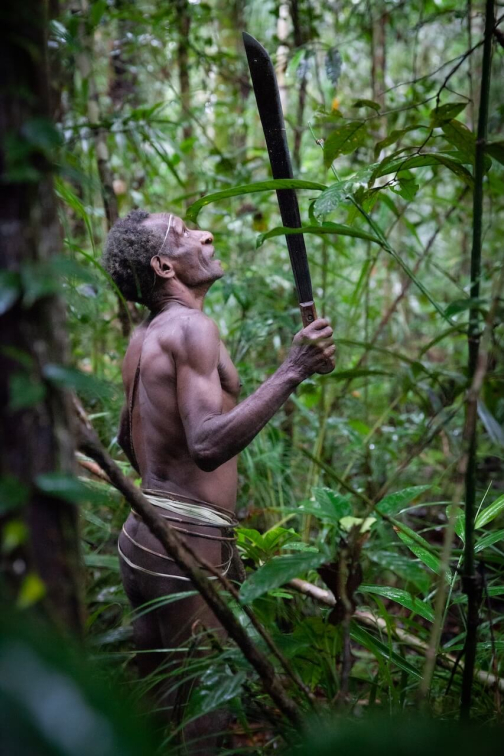 Ze života Korowai, Irian Jaya, Indonésie | Planeta lidí - David Švejnoha