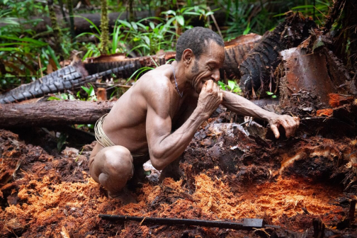 Ze života Korowai, Irian Jaya, Indonésie | Planeta lidí - David Švejnoha