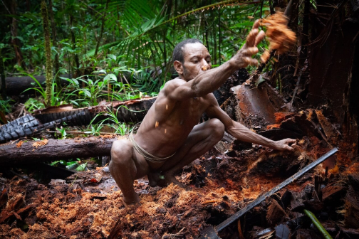 Ze života Korowai, Irian Jaya, Indonésie | Planeta lidí - David Švejnoha