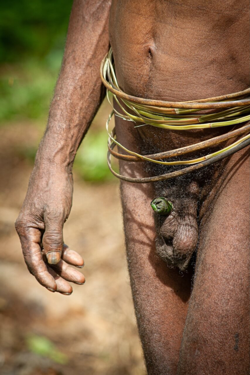 Ve vesnici Korowai, Irian Jaya -  Planeta lidí