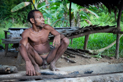 Ve vesnici Korowai, Irian Jaya -  Planeta lidí