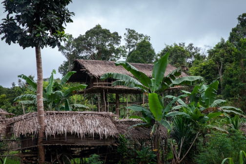 Ve vesnici Korowai, Irian Jaya -  Planeta lidí