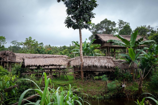 Ve vesnici Korowai, Irian Jaya -  Planeta lidí