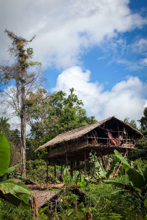 Ve vesnici Korowai, Irian Jaya -  Planeta lidí