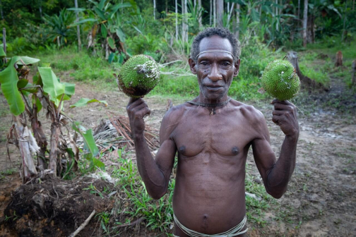 Ve vesnici Korowai, Irian Jaya -  Planeta lidí