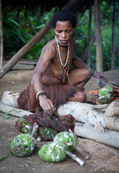 Ve vesnici Korowai, Irian Jaya -  Planeta lidí