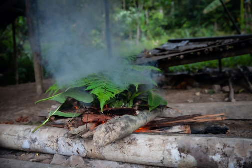 Ve vesnici Korowai, Irian Jaya -  Planeta lidí