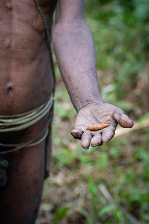 Ve vesnici Korowai, Irian Jaya -  Planeta lidí