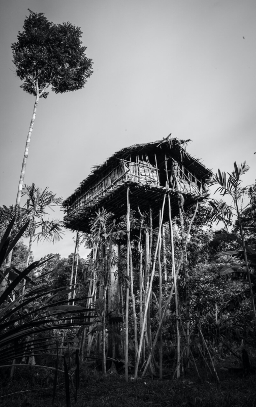Ve vesnici Korowai, Irian Jaya -  Planeta lidí
