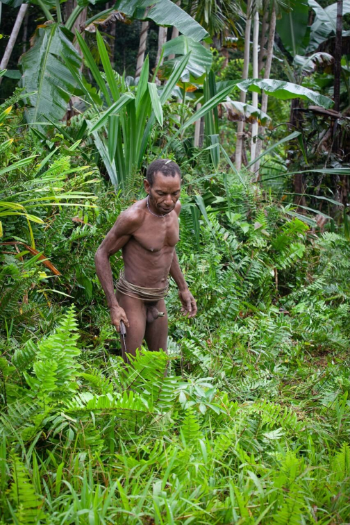 Ve vesnici Korowai, Irian Jaya -  Planeta lidí