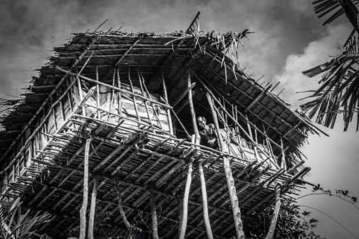 Ve vesnici Korowai, Irian Jaya -  Planeta lidí