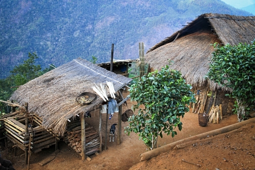 Makuri Naga, Myanmar, Nagaland - Planeta lidí