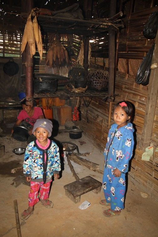 Makuri Naga, Myanmar, Nagaland - Planeta lidí