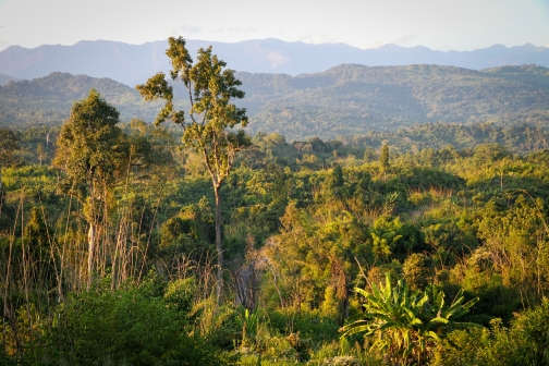 Makuri Naga, Myanmar, Nagaland - Planeta lidí