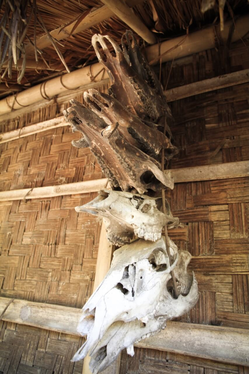 Nagové Makuri - Myanmar, Barma - Nagaland | Planeta lidí