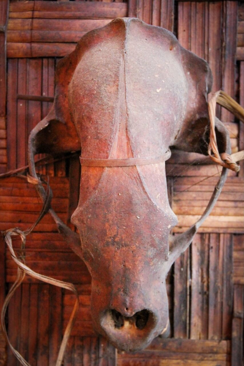 Nagové Makuri - Myanmar, Barma - Nagaland | Planeta lidí