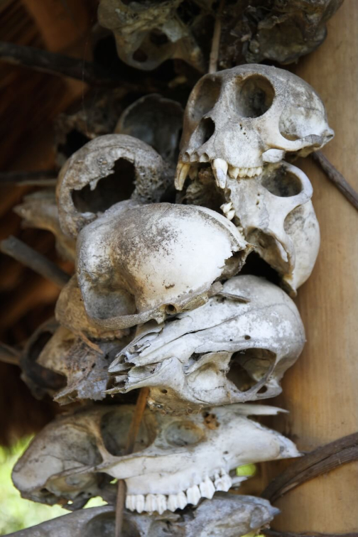 Nagové Makuri - Myanmar, Barma - Nagaland | Planeta lidí