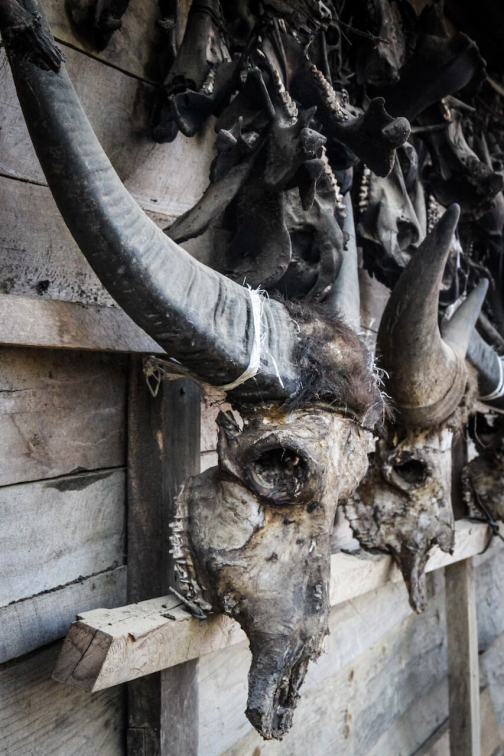 Tangkhul Naga, Nagaland - Severozápadní Barma, Myanmar | Planeta lidí