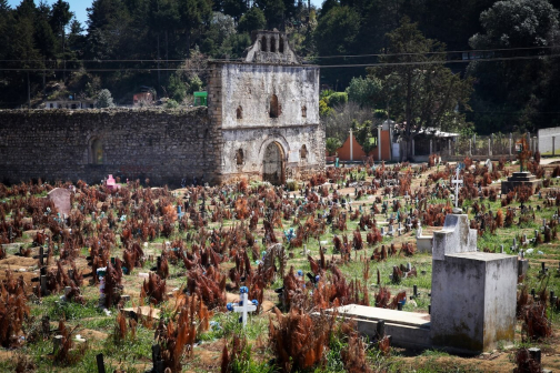 Tzotzilové - Chiapas, Mexiko - Planeta lidí | David Švejnoha