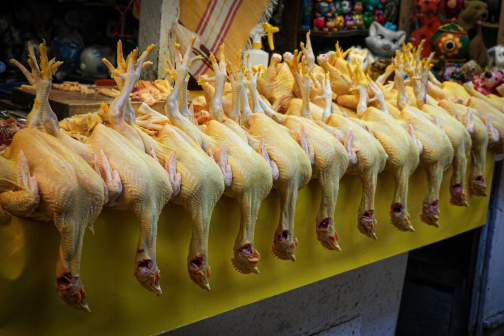 Tzotzilové - Chiapas, Mexiko - Planeta lidí | David Švejnoha