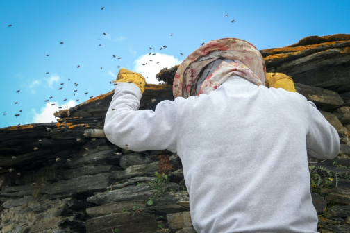Svanové - Svanetie, Gruzie - Planeta lidí - Radka Švejnohová