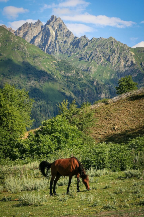 Svanové - Svanetie, Gruzie - Planeta lidí - Radka Švejnohová