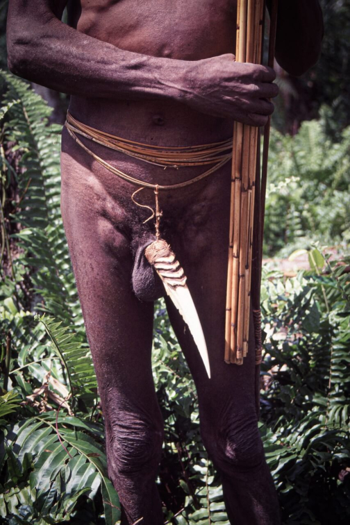 Kombai - Západní Papua - Irian Jaya, Indonésie - Planeta lidí | Jaromír Giecek