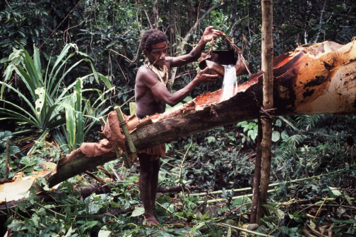 Kombai - Západní Papua - Irian Jaya, Indonésie - Planeta lidí | Jaromír Giecek