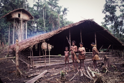 Kombai - Západní Papua, Planeta lidí - Jaromír Giecek