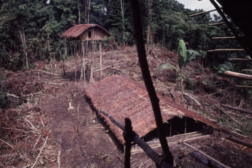 Kombai - Západní Papua, Planeta lidí - Jaromír Giecek