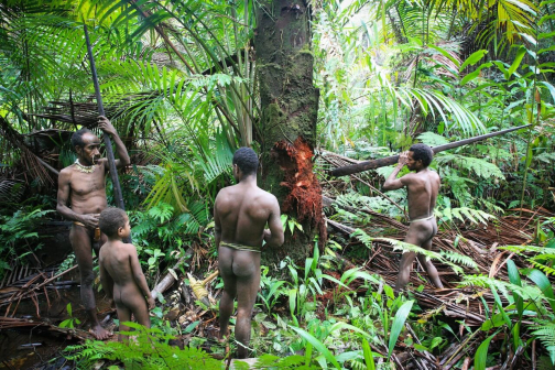 Kombai - Západní Papua, Indonésie - Miroslav Haluza | Planeta lidí