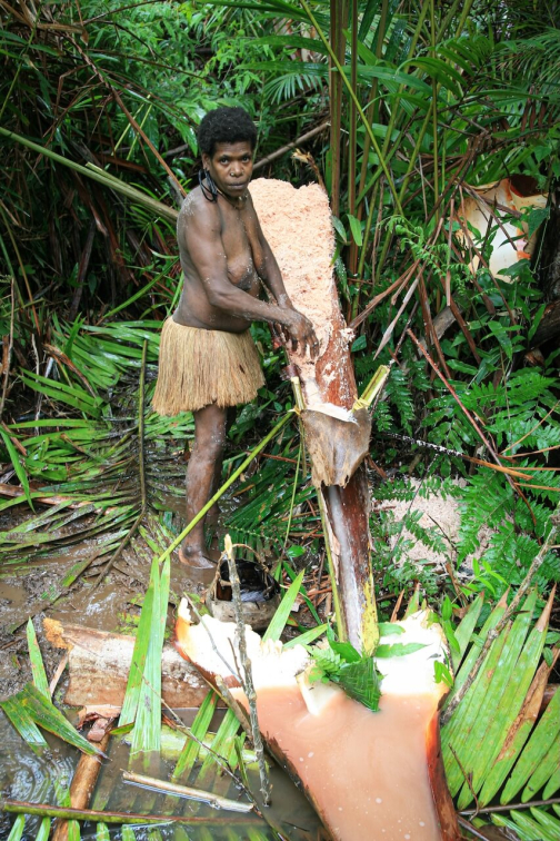 Kombai - Západní Papua, Indonésie - Miroslav Haluza | Planeta lidí