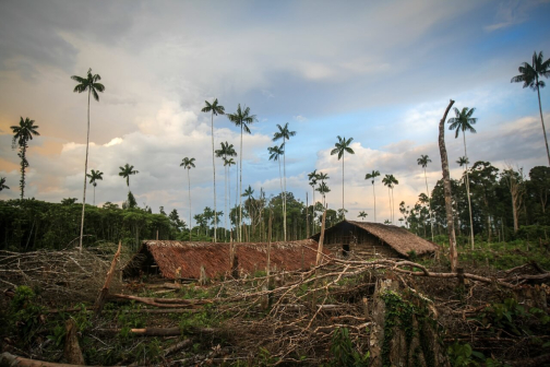 Kombai - Západní Papua, Indonésie - Miroslav Haluza | Planeta lidí