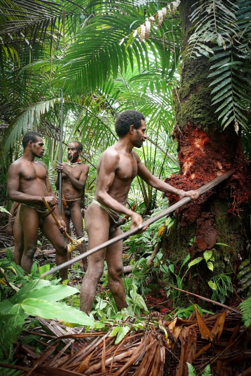 Kombai - Západní Papua, Indonésie - Miroslav Haluza | Planeta lidí