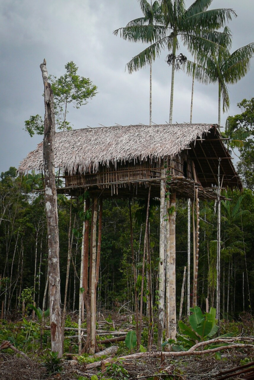 Kombai - Západní Papua, Indonésie - Miroslav Haluza | Planeta lidí