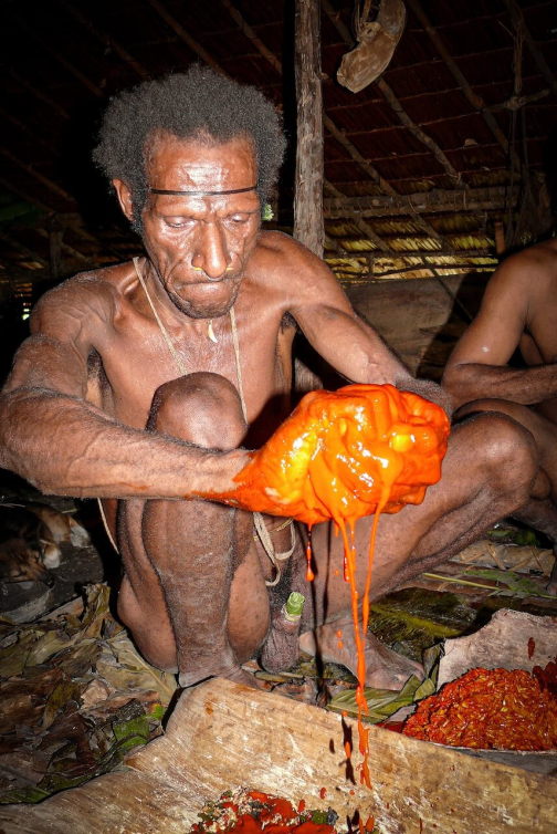 Kombai - Západní Papua, Indonésie - Miroslav Haluza | Planeta lidí