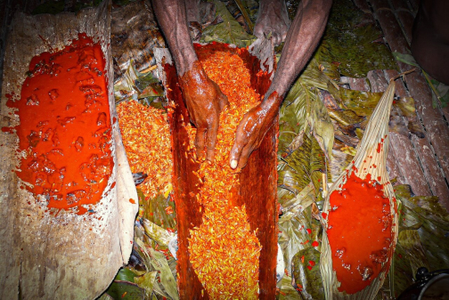 Kombai - Západní Papua, Indonésie - Miroslav Haluza | Planeta lidí