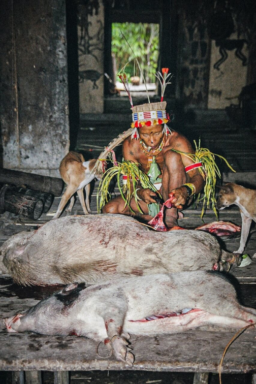 Mentawai, Siberut - Ostrov Šamanů - Miroslav Švejnoha | Planeta lidí