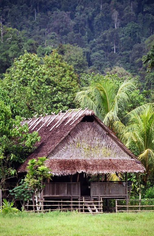 Mentawai, Siberut - Ostrov Šamanů - Miroslav Švejnoha | Planeta lidí