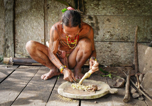 Mentawai, Siberut - Ostrov Šamanů - Miroslav Švejnoha | Planeta lidí