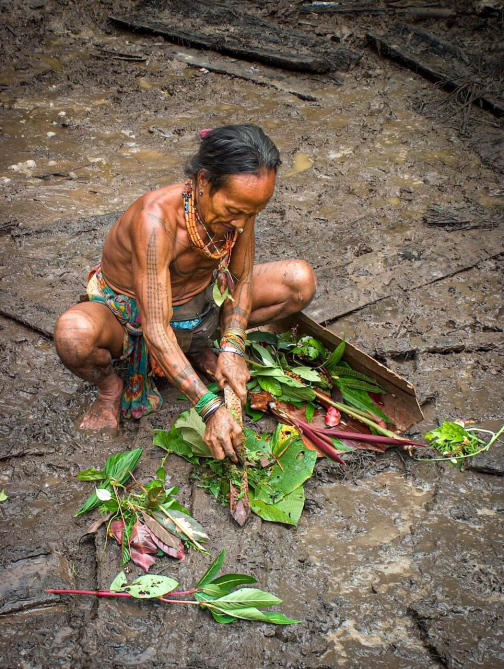Mentawai, Siberut - Ostrov Šamanů - Miroslav Švejnoha | Planeta lidí