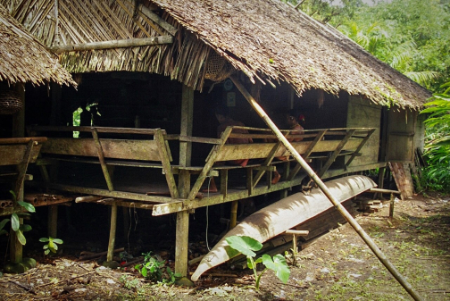 Mentawai, Siberut - Ostrov Šamanů - Miroslav Švejnoha | Planeta lidí