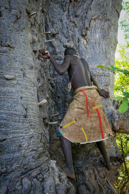 Kmen Hadzabe, jezero Eyasi - Tanzanie - Jaromír Giecek | Planeta lidí