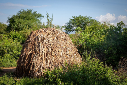 Hadzabe, jezero Eyasi - Tanzanie - Planeta lidí | David Švejnoha