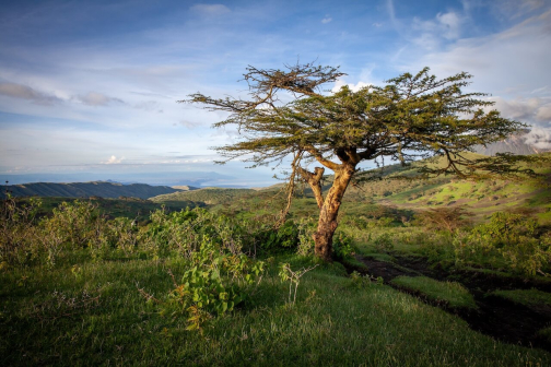 Masajové - Trek kolem Ol Doinyo Lengai, severní Tanzanie - Planeta lidí | David Švejnoha