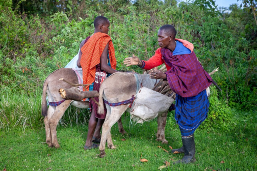 Masajové - Trek kolem Ol Doinyo Lengai, severní Tanzanie - Planeta lidí | David Švejnoha