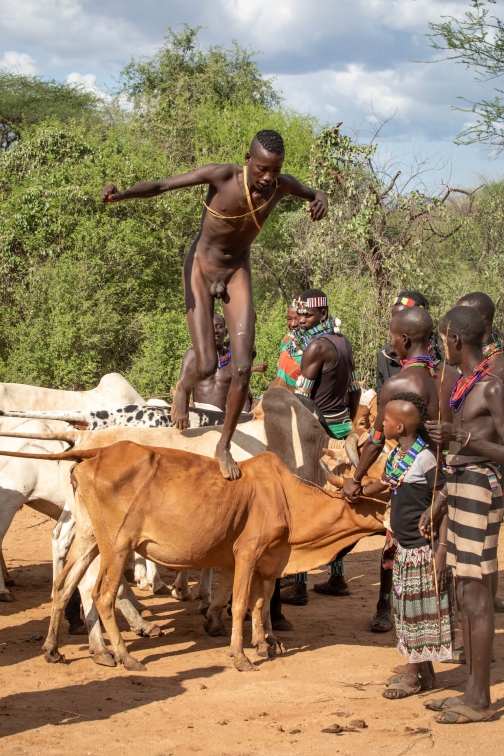 Bull Jumping - Ukule Bula, kmen Hamar - Jižní Etiopie | Planeta lidí - David Švejnoha